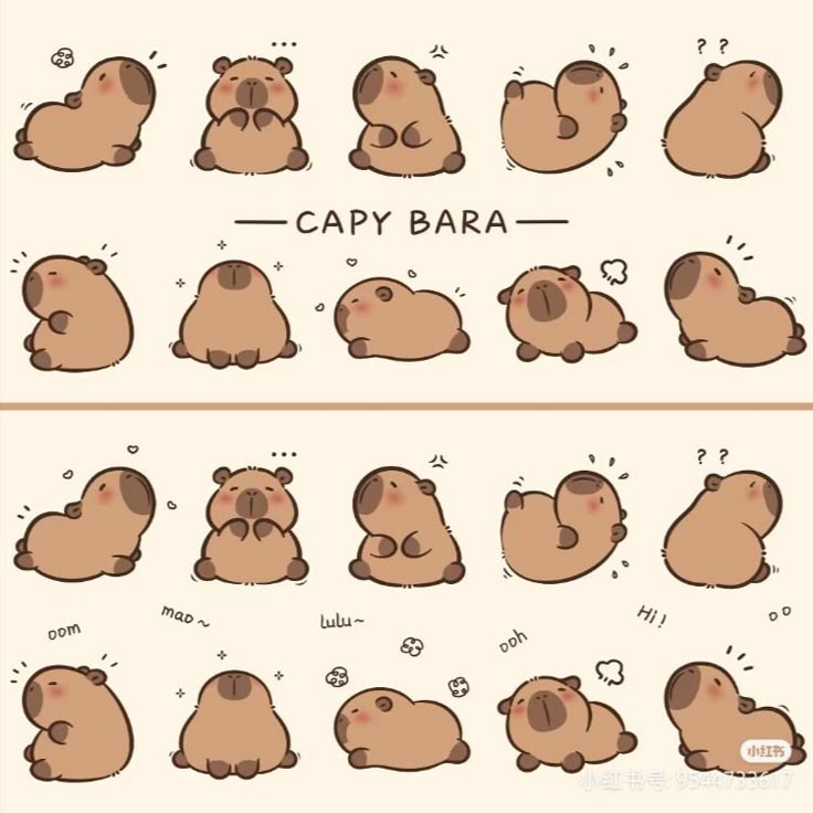 Capybara chibi - bộ sưu tập sticker