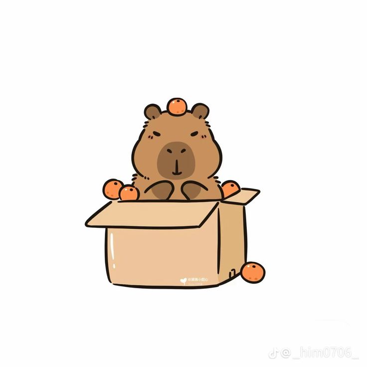 Capybara chibi - trong thùng