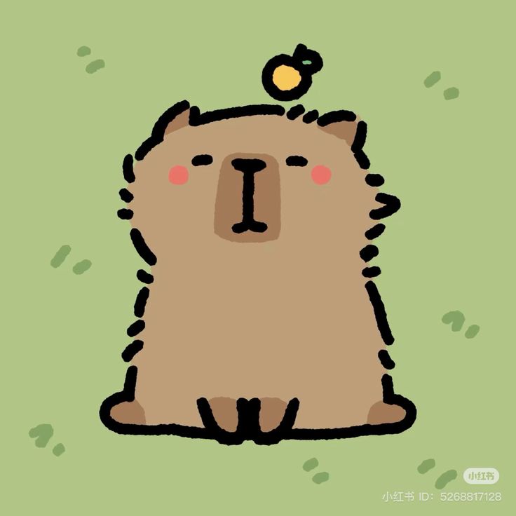Capybara chibi cute - hóng gió