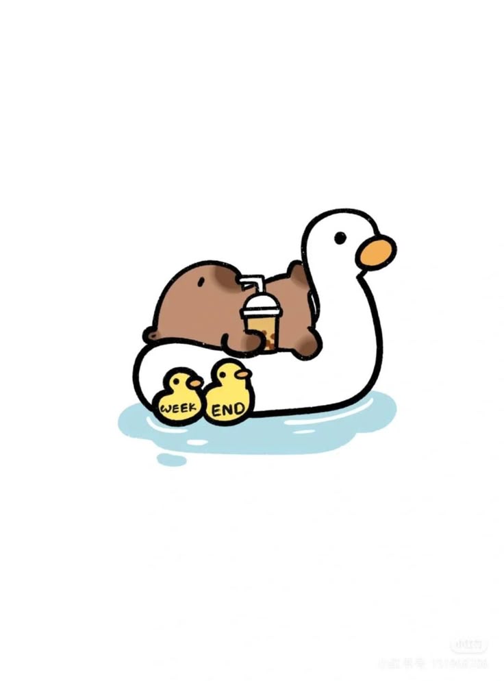 Capybara chibi - đi bơi