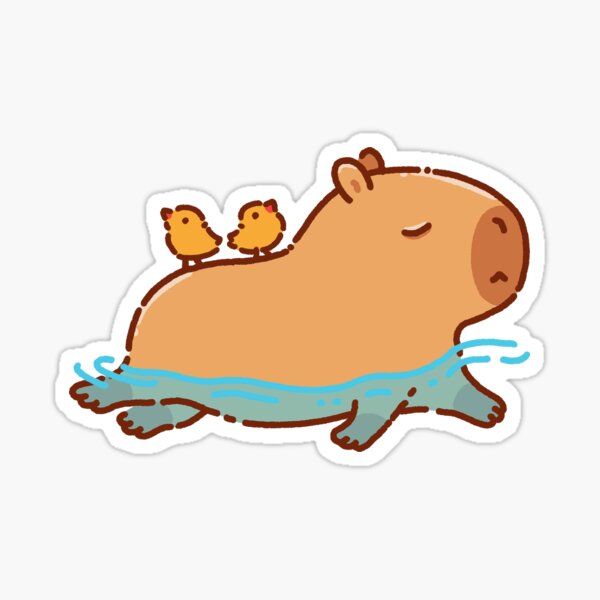 Hình ảnh capybara cute - bơi