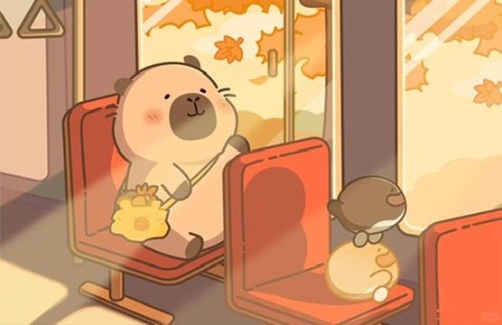 Hình ảnh capybara cute - đi xe buýt