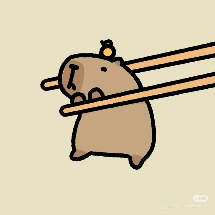 Hình ảnh capybara cute - gắp đũa