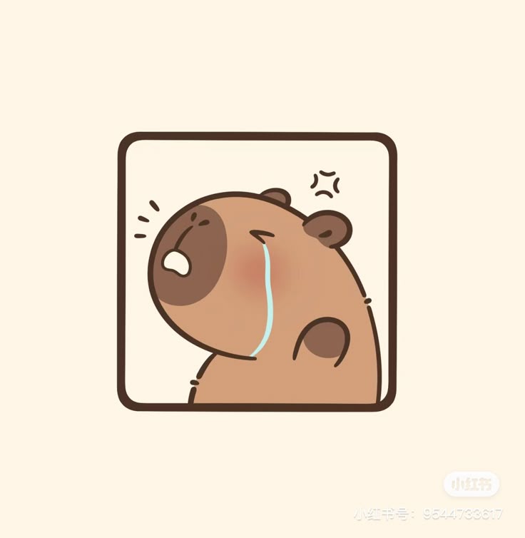 Hình ảnh capybara cute - khóc