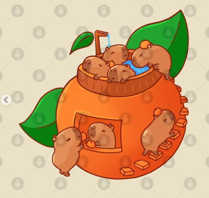 Hình ảnh capybara cute - nhiều capybara
