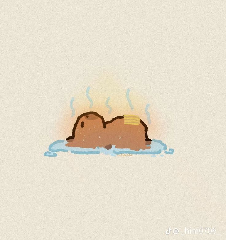 Hình ảnh capybara cute - spa