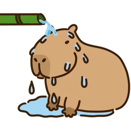 Hình ảnh capybara cute - tắm