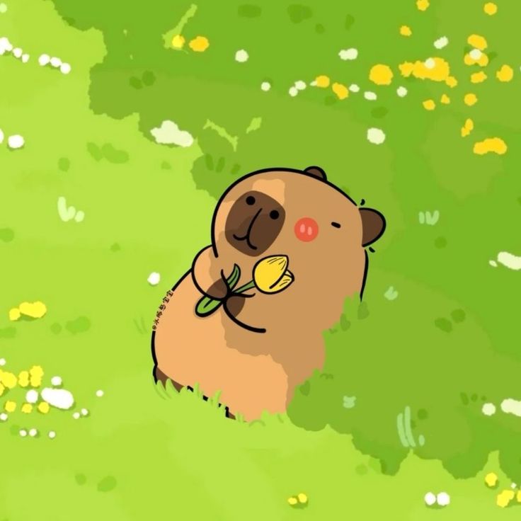 Hình ảnh capybara cute - thư giãn