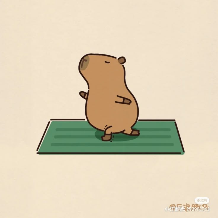 Hình ảnh capybara cute - yoga