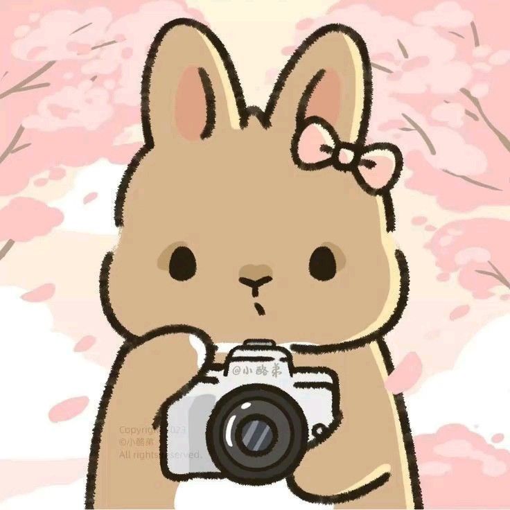 Hình ảnh thỏ chibi cute - nhiếp ảnh gia