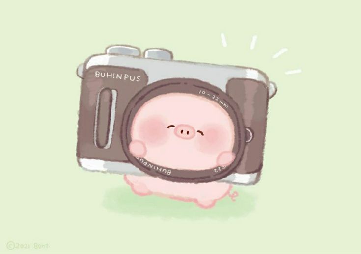 Hình nền heo chibi màu hồng - máy ảnh
