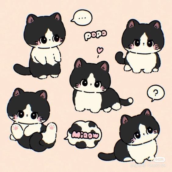Hình nền mèo chibi - mèo trắng đen