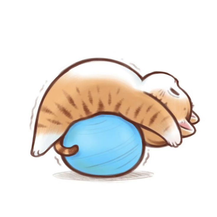 Hình nền mèo chibi - tập thể dục