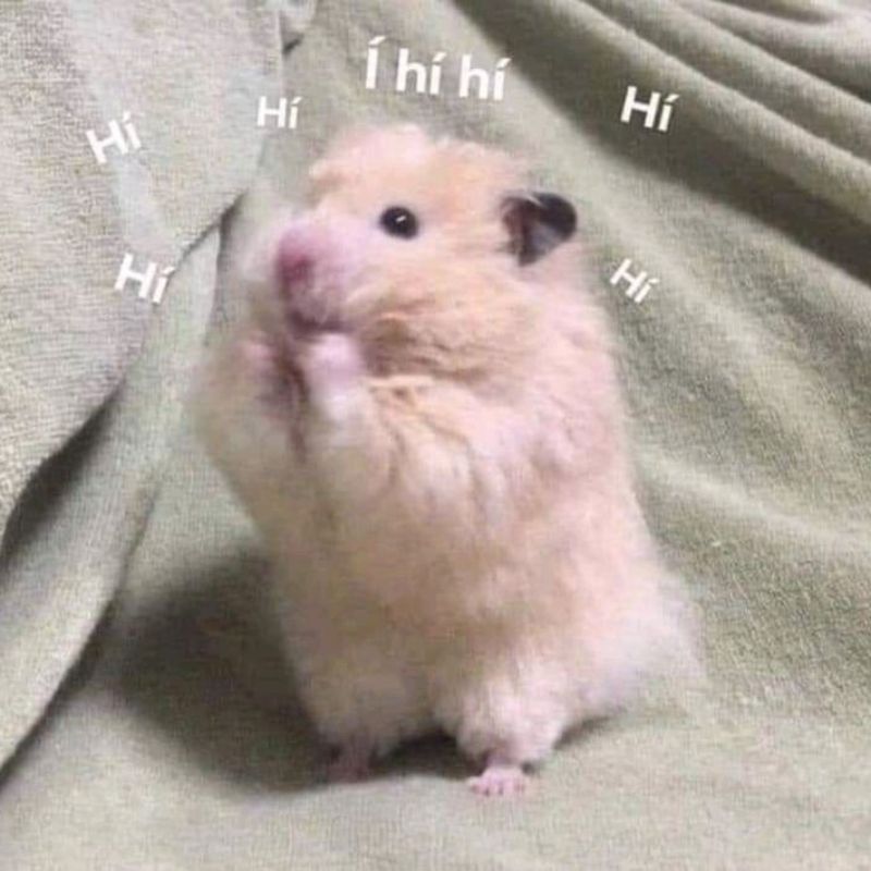 Ảnh meme cười hehe