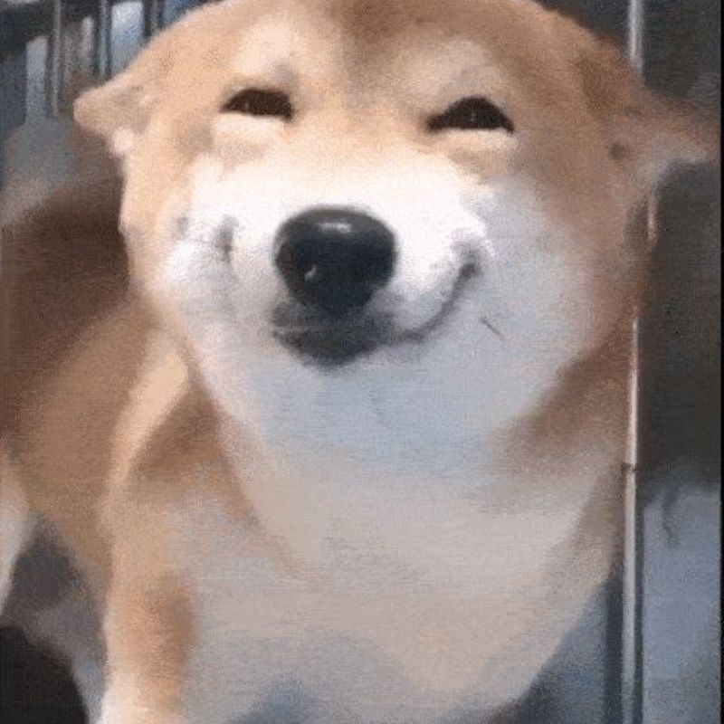 Hình meme cười tươi