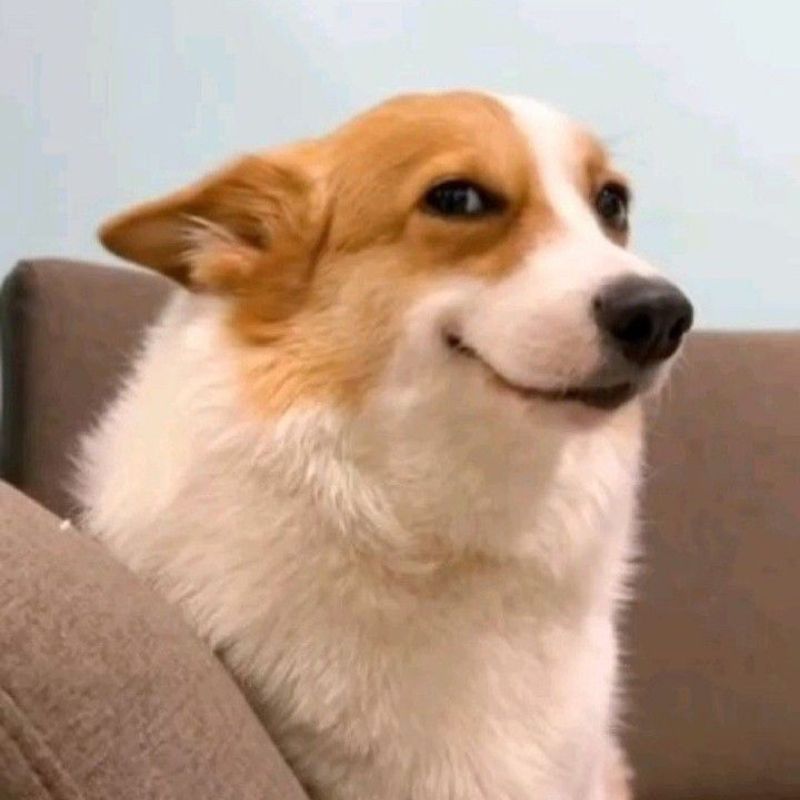 Ảnh meme cười nham hiểm