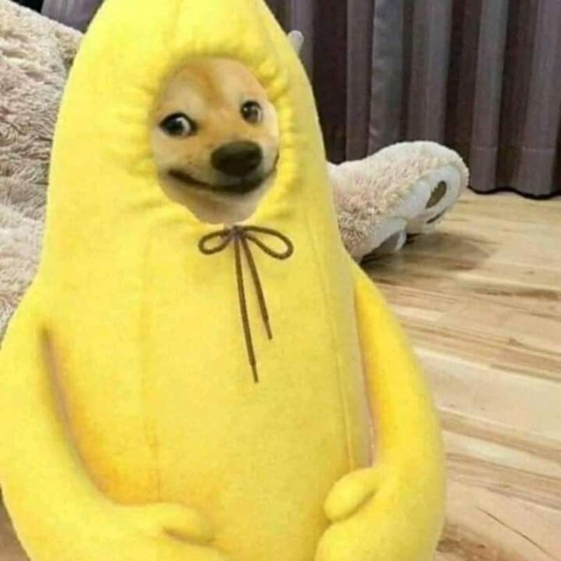 Ảnh meme cười khi mặc áo chuối