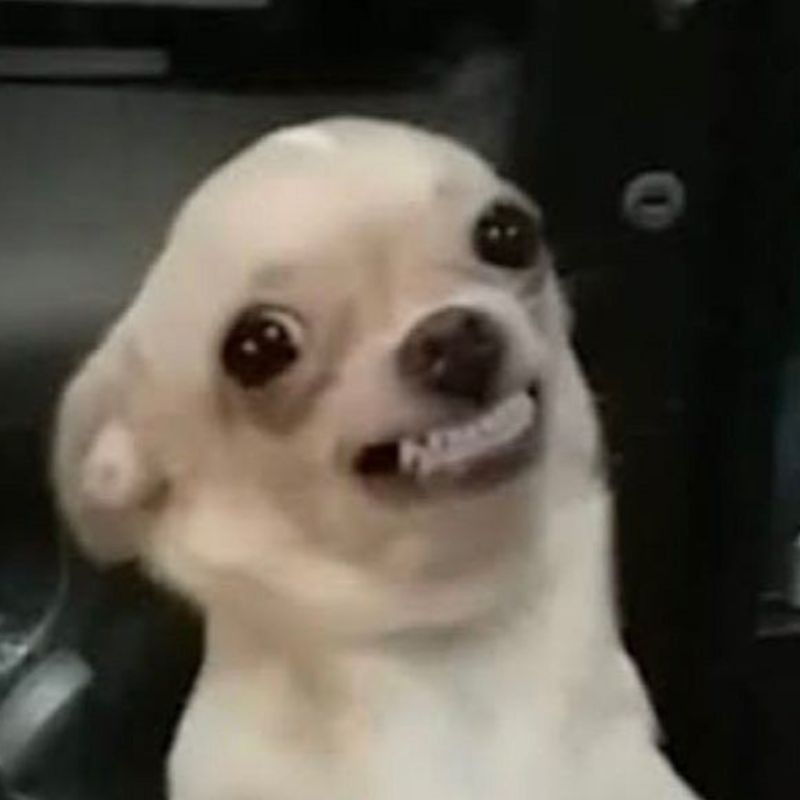 Ảnh meme cười gượng