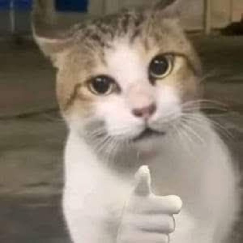 Hình meme hài chỉ tay