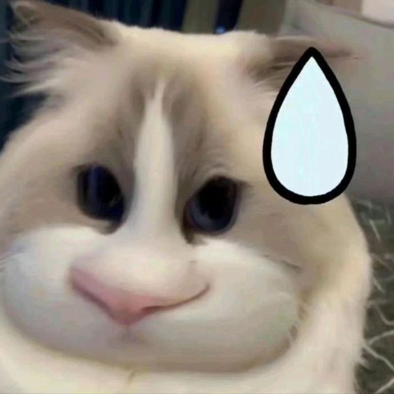 Ảnh meme hài - đơ mặt