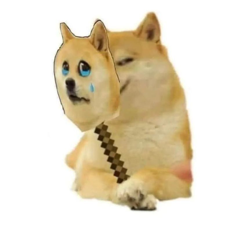 Ảnh meme hài giả vờ buồn để được an ủi