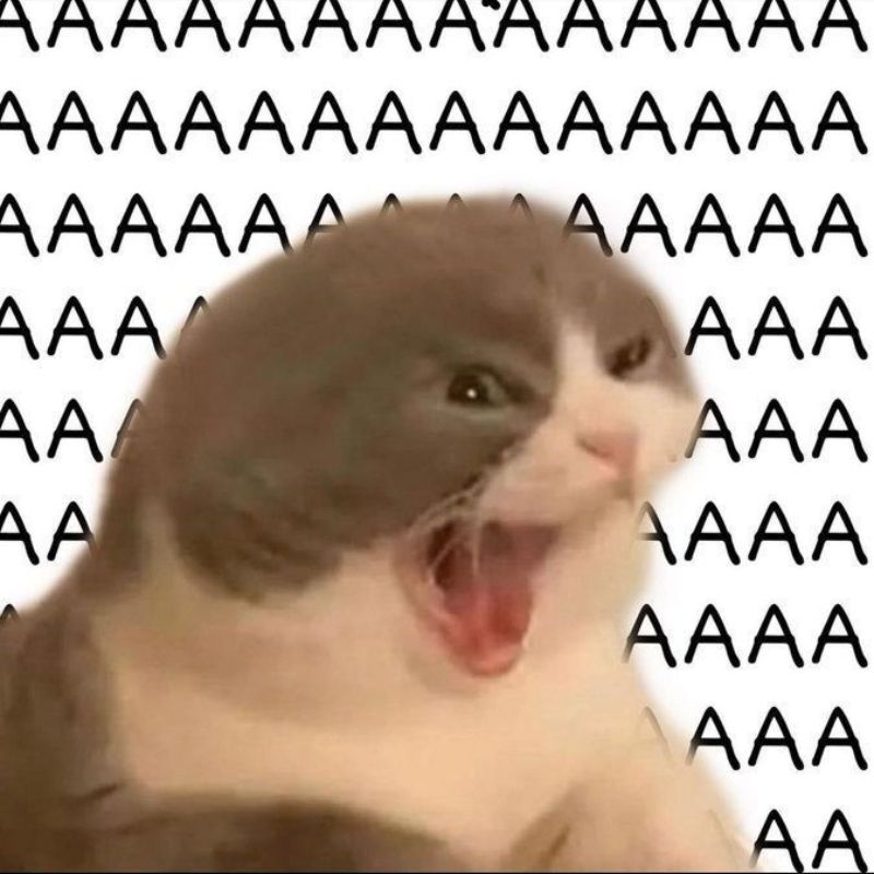 Ảnh meme hài - la hét