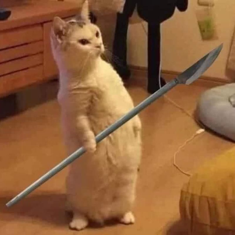 Hình nền meme hài tuyên chiến