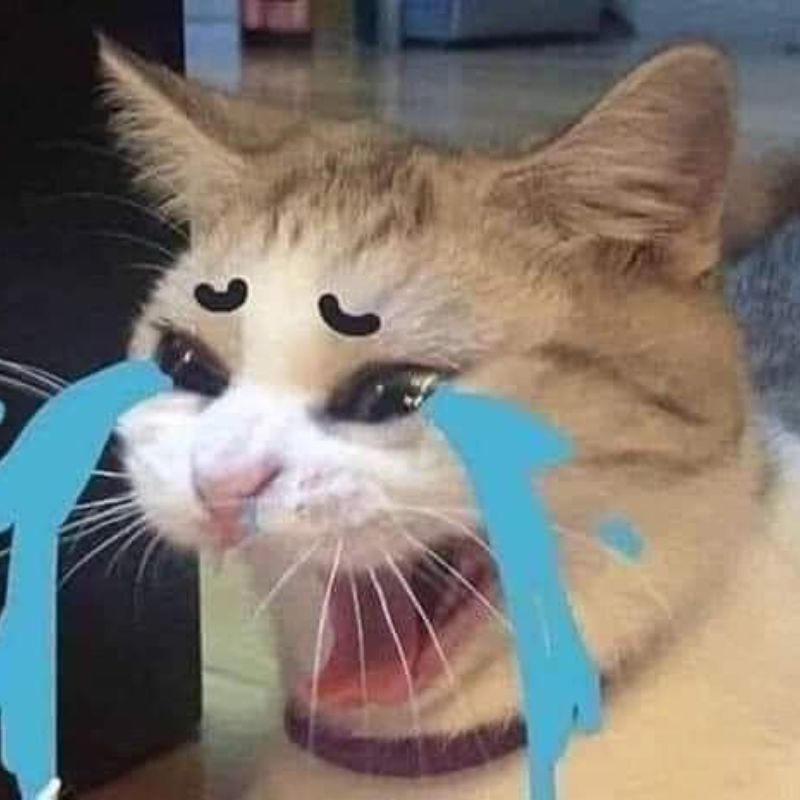 Ảnh meme khóc thét bất lực 
