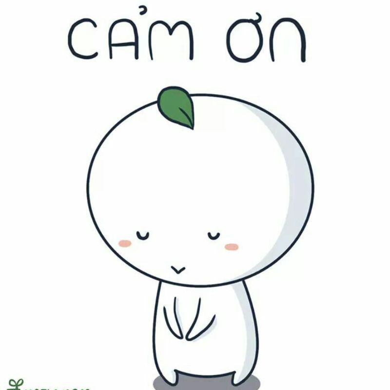 Ảnh cảm ơn meme lịch sự