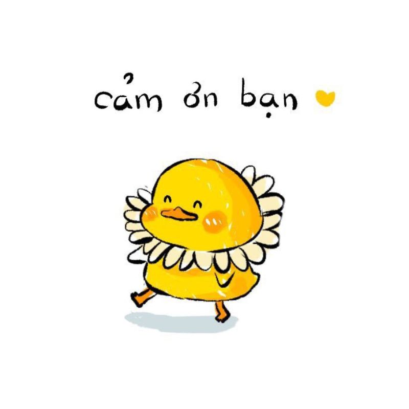 Meme cảm ơn vịt vàng