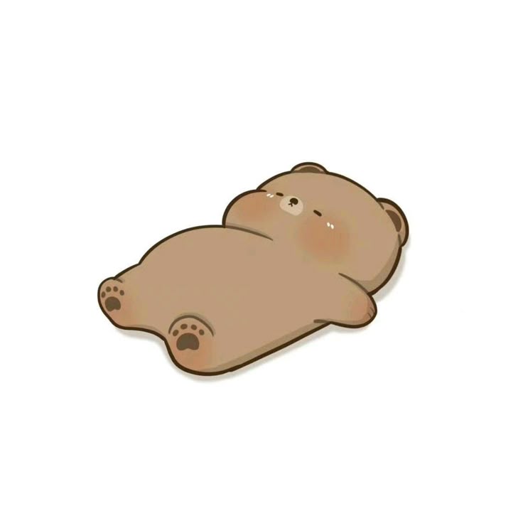 Hình ảnh gấu chibi cute - nằm ườn