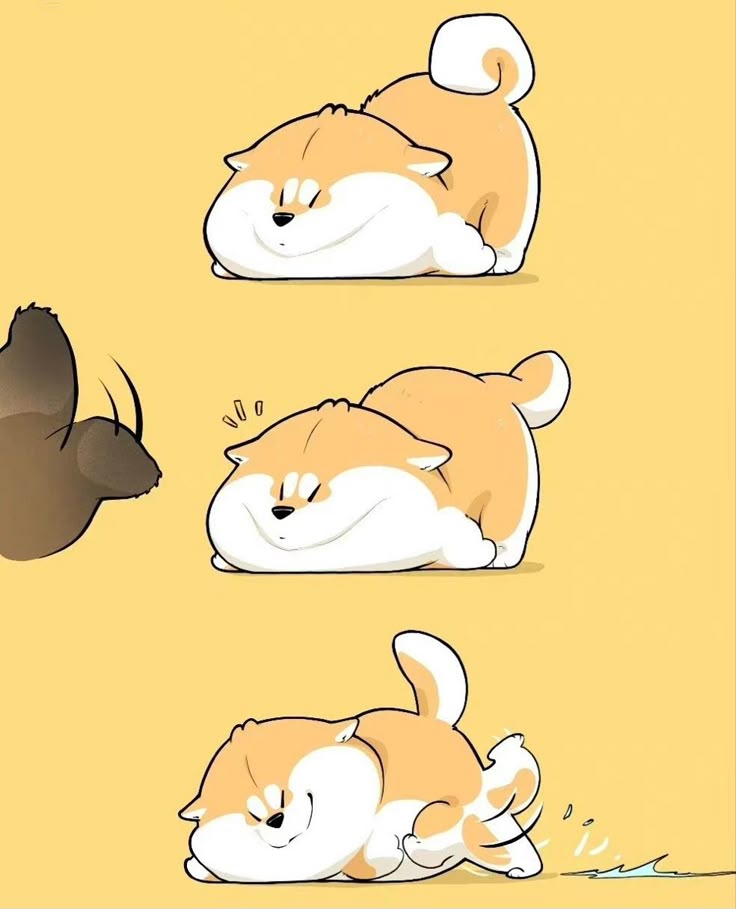 Hình nền chó chibi - Biểu cảm hài hước