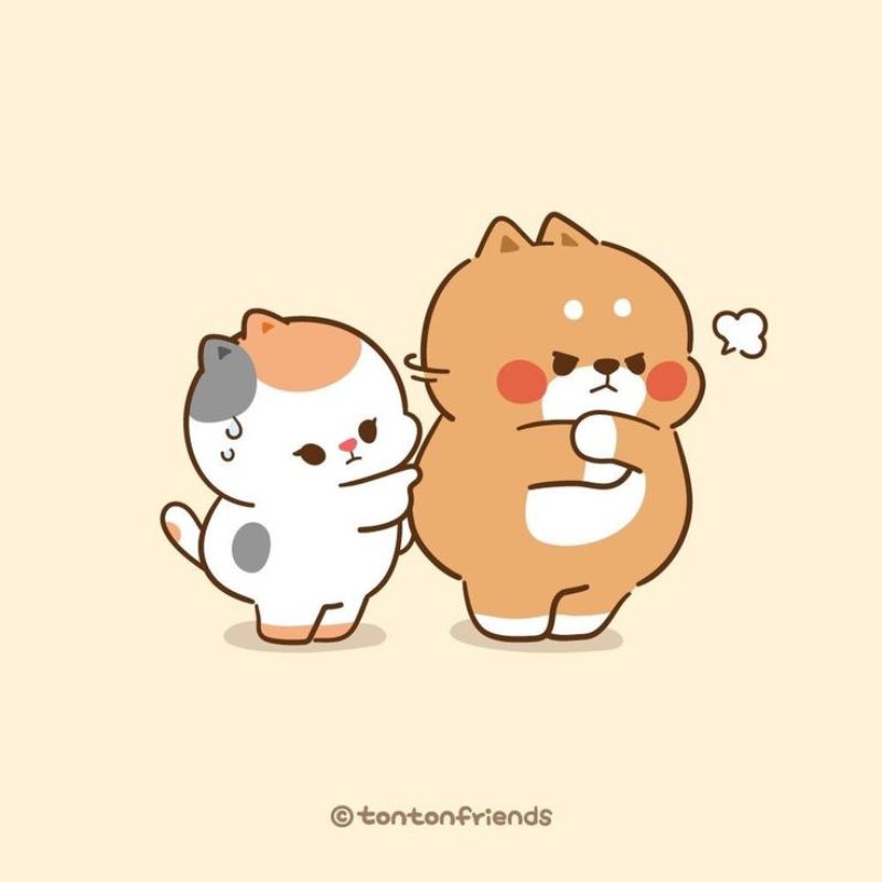 Ảnh meme an ủi người yêu hết giận