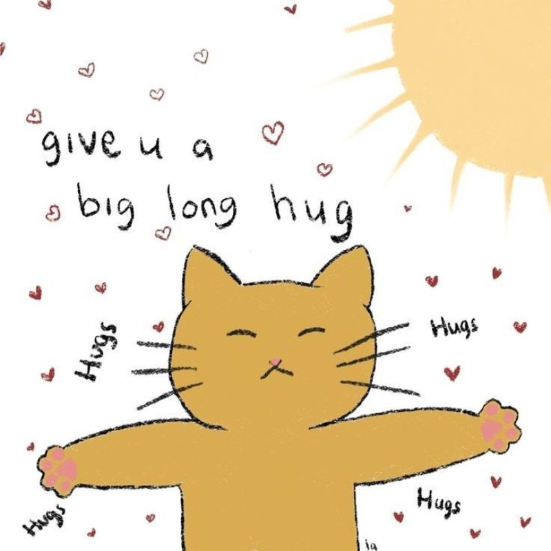 Meme an ủi gửi bạn cái ôm