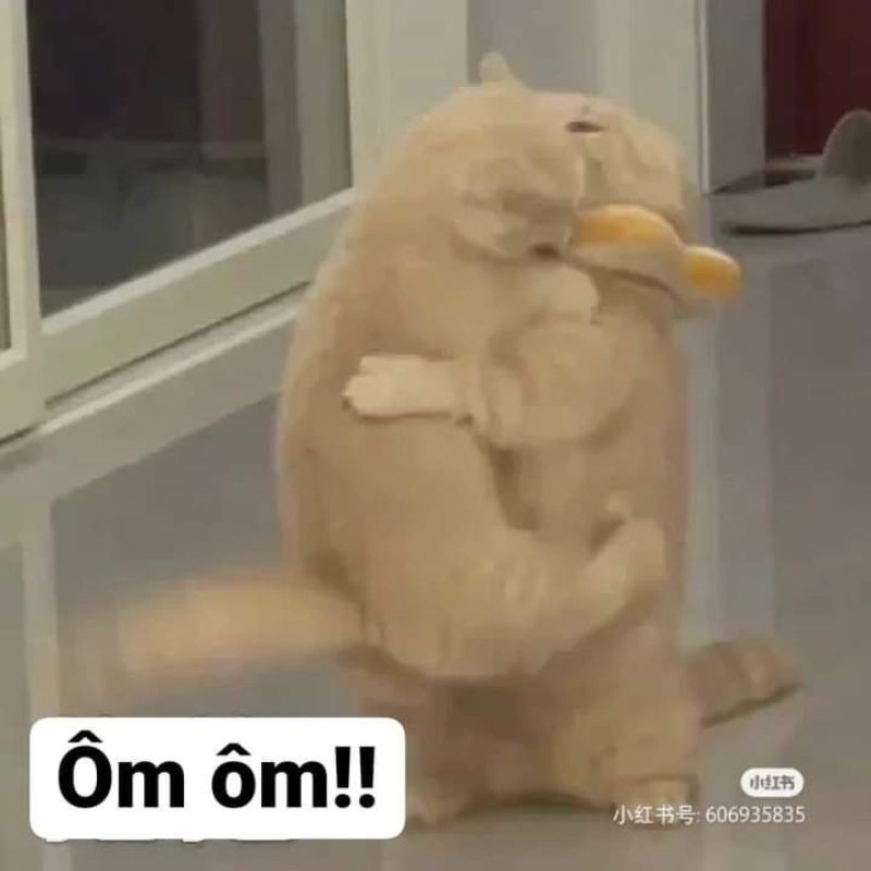 Ảnh ôm an ủi meme