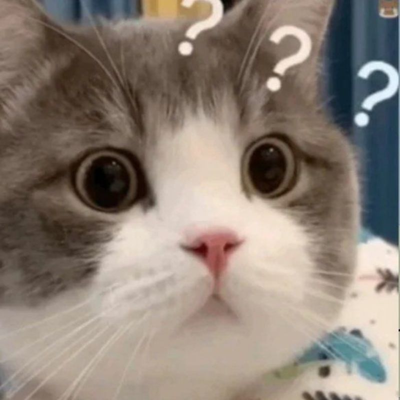 Ảnh meme bất ngờ mèo hỏi chấm