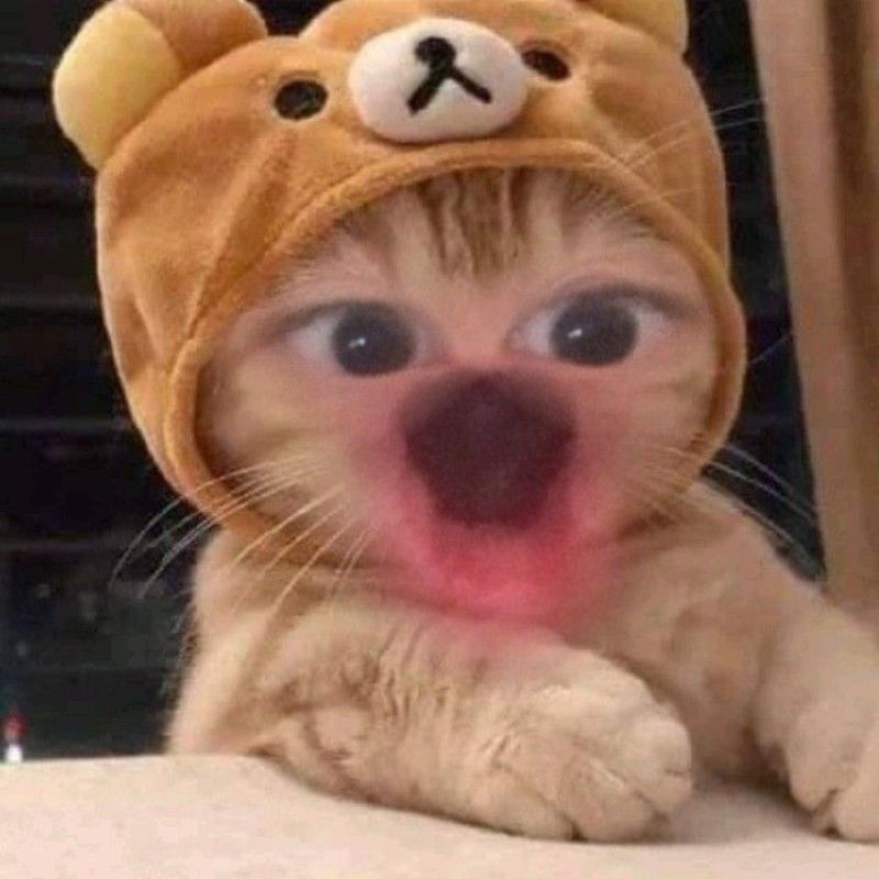 Ảnh meme bất ngờ cực hài