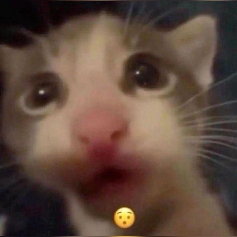 Meme bất ngờ há hốc miệng