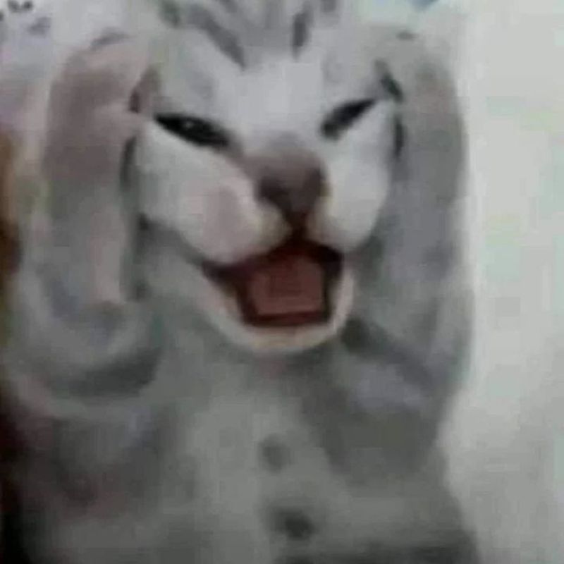 Meme bất ngờ ôm đầu