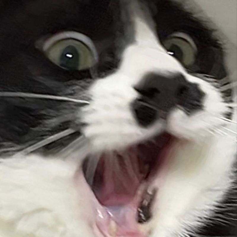Meme bất ngờ trợn mắt há mồm