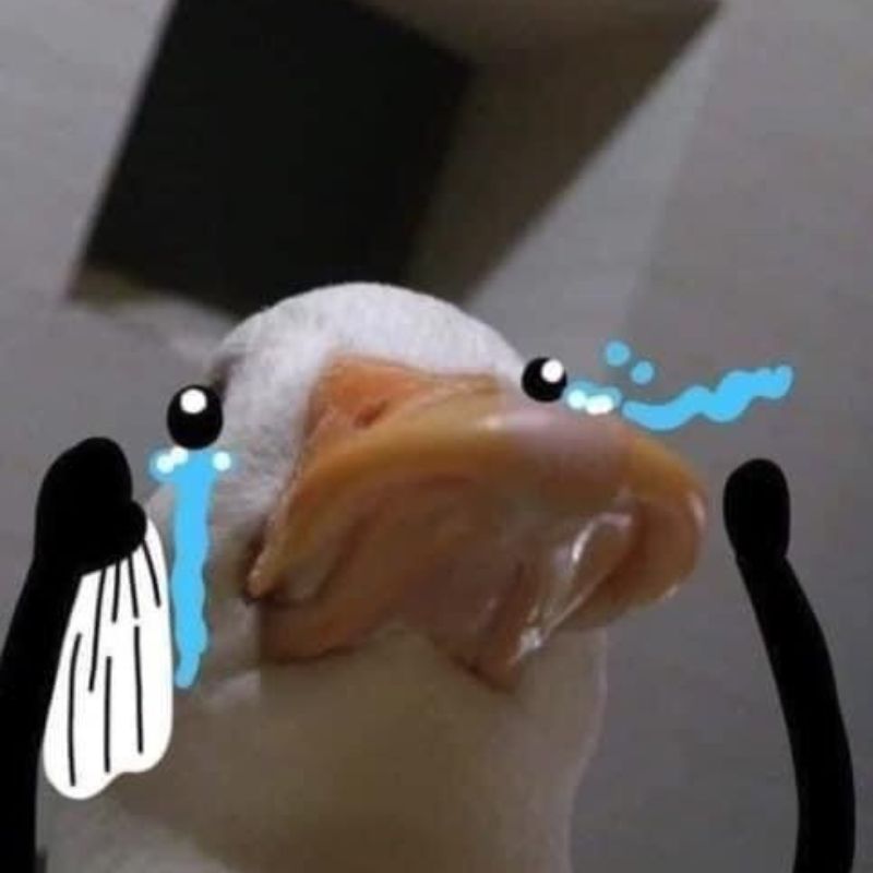 Ảnh meme dỗi dễ thương