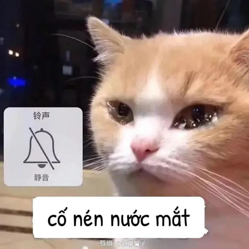 Meme dỗi bật chế độ im lặng