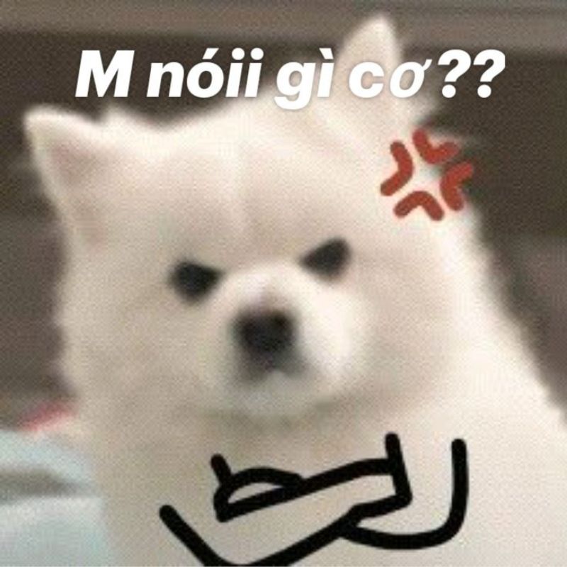 Meme giận dỗi khoanh tay