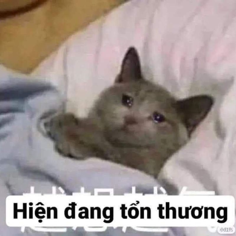 Ảnh meme dỗi hờn tổn thương
