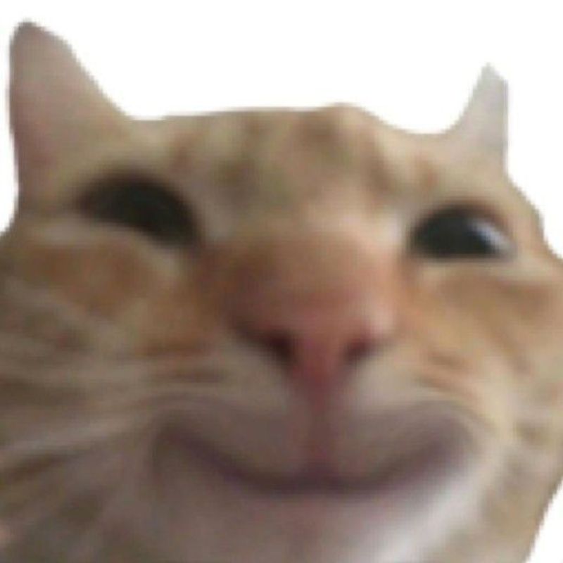 Meme mèo cười hehe