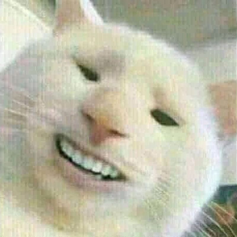 Meme mèo cười nhe răng