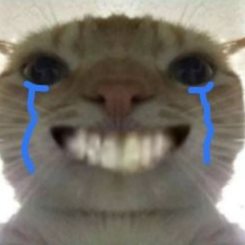Ảnh meme mèo cười nhe răng