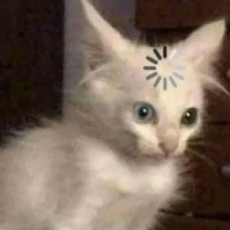 Meme suy nghĩ loading