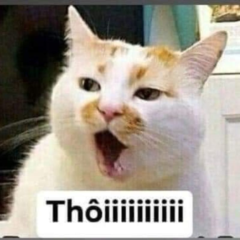 Meme từ chối với biểu cảm hài