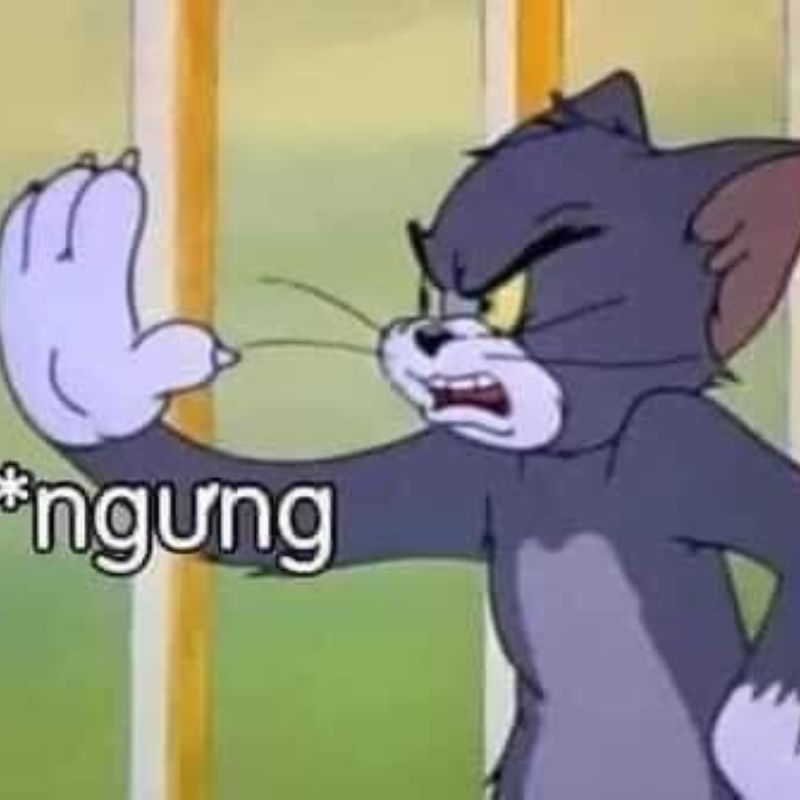 Meme từ chối dừng lại